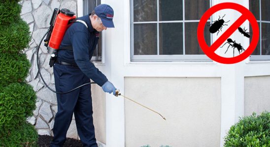 Tuzlukçu Tahtakurusu İlaçlama böcek ilaçlama ve haşere kontrolü — ilaclama-tr.com